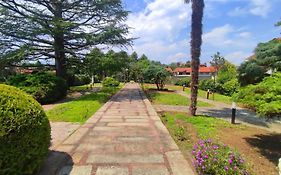 Phi Hotel Homy Druento
